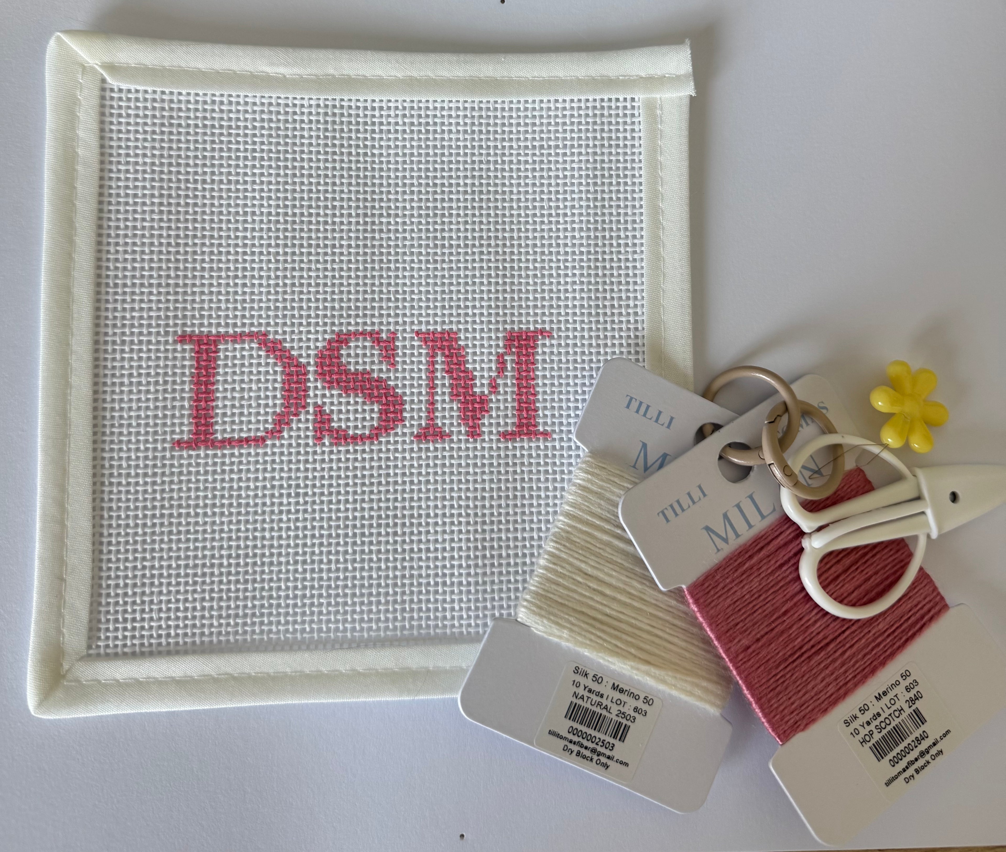 Iowa Icons: Needlepoint Beginner Kit DSM Design - Pink